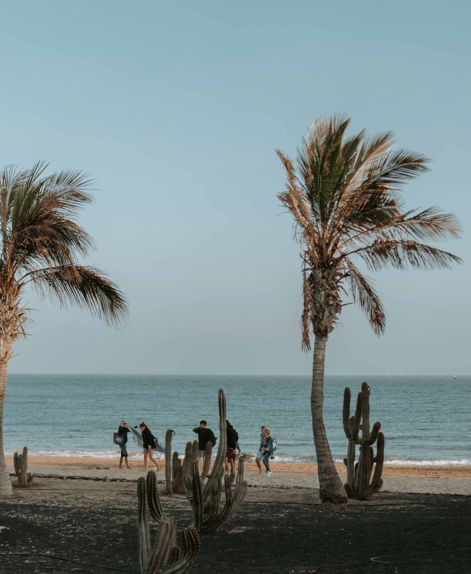 Canary Islands (2)