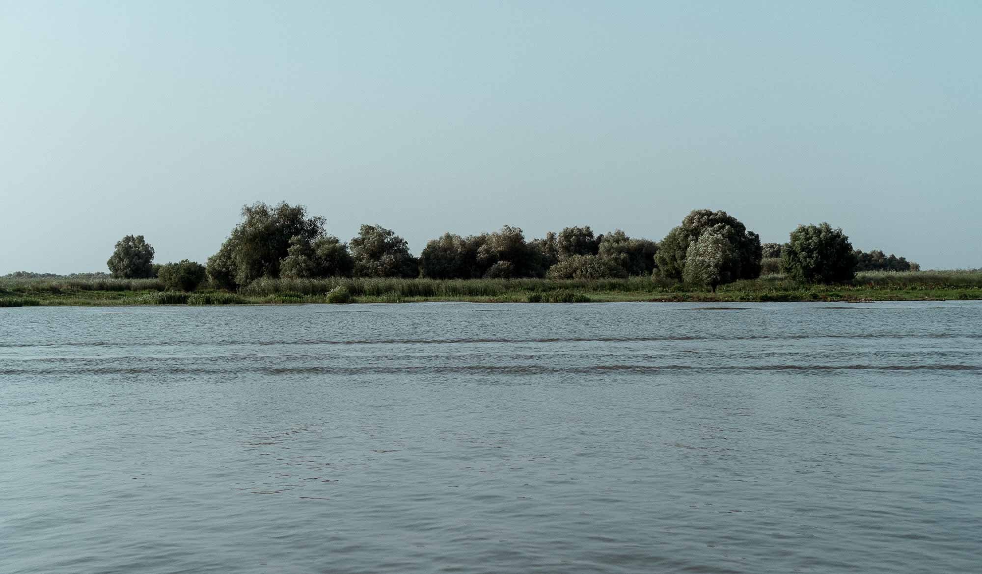 Danube Delta Aesthetics (24)