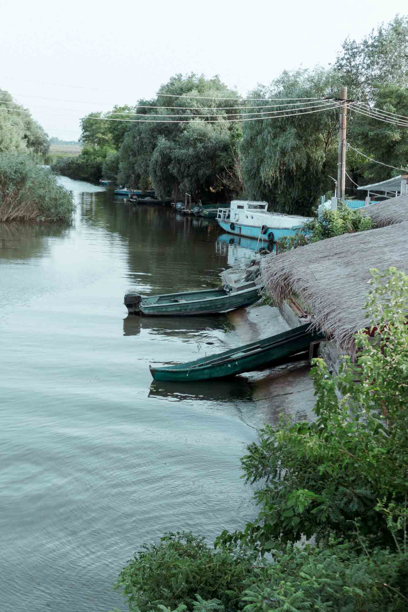 Danube Delta Aesthetics (25)