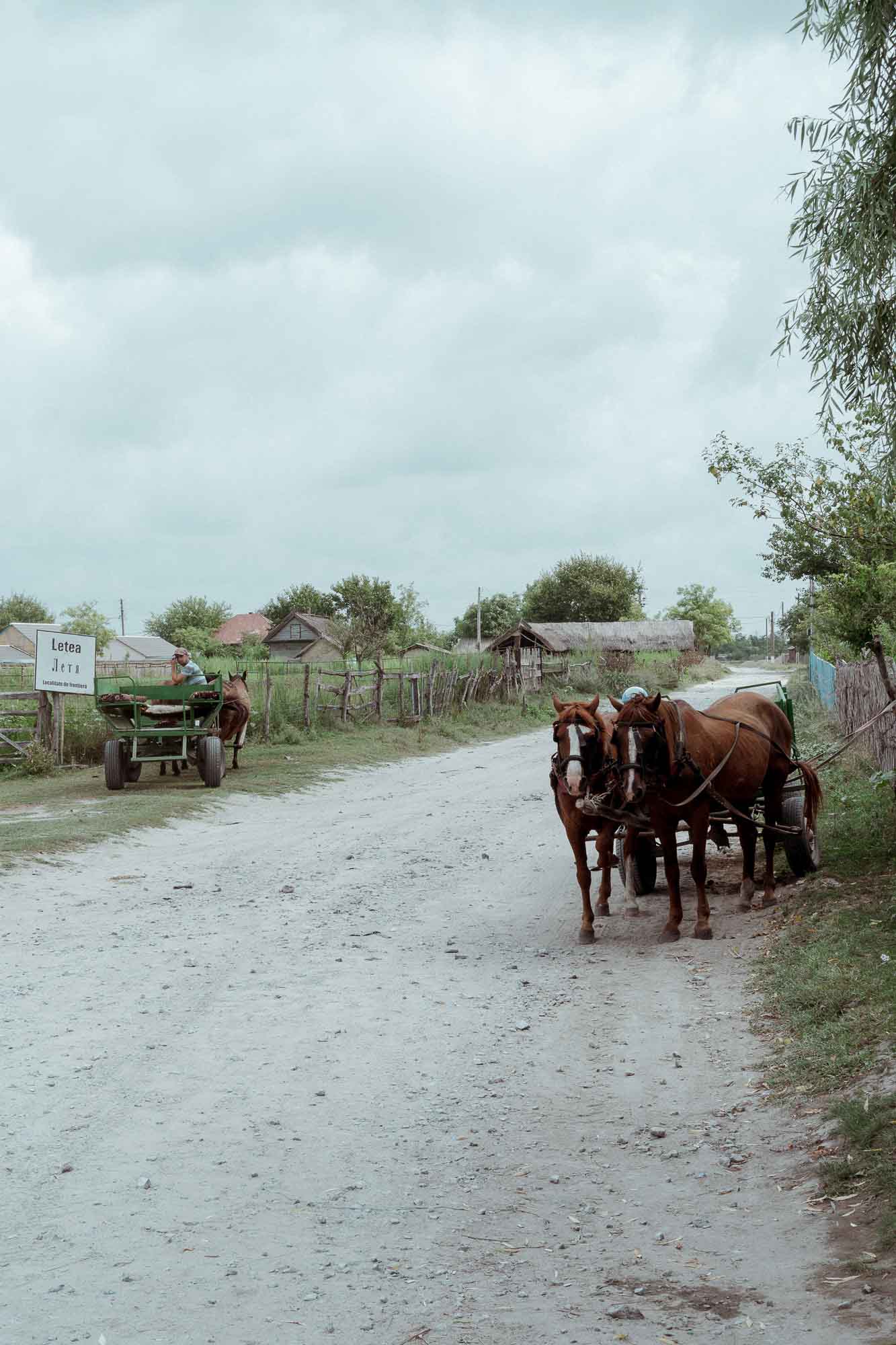 Danube Delta Aesthetics (1)