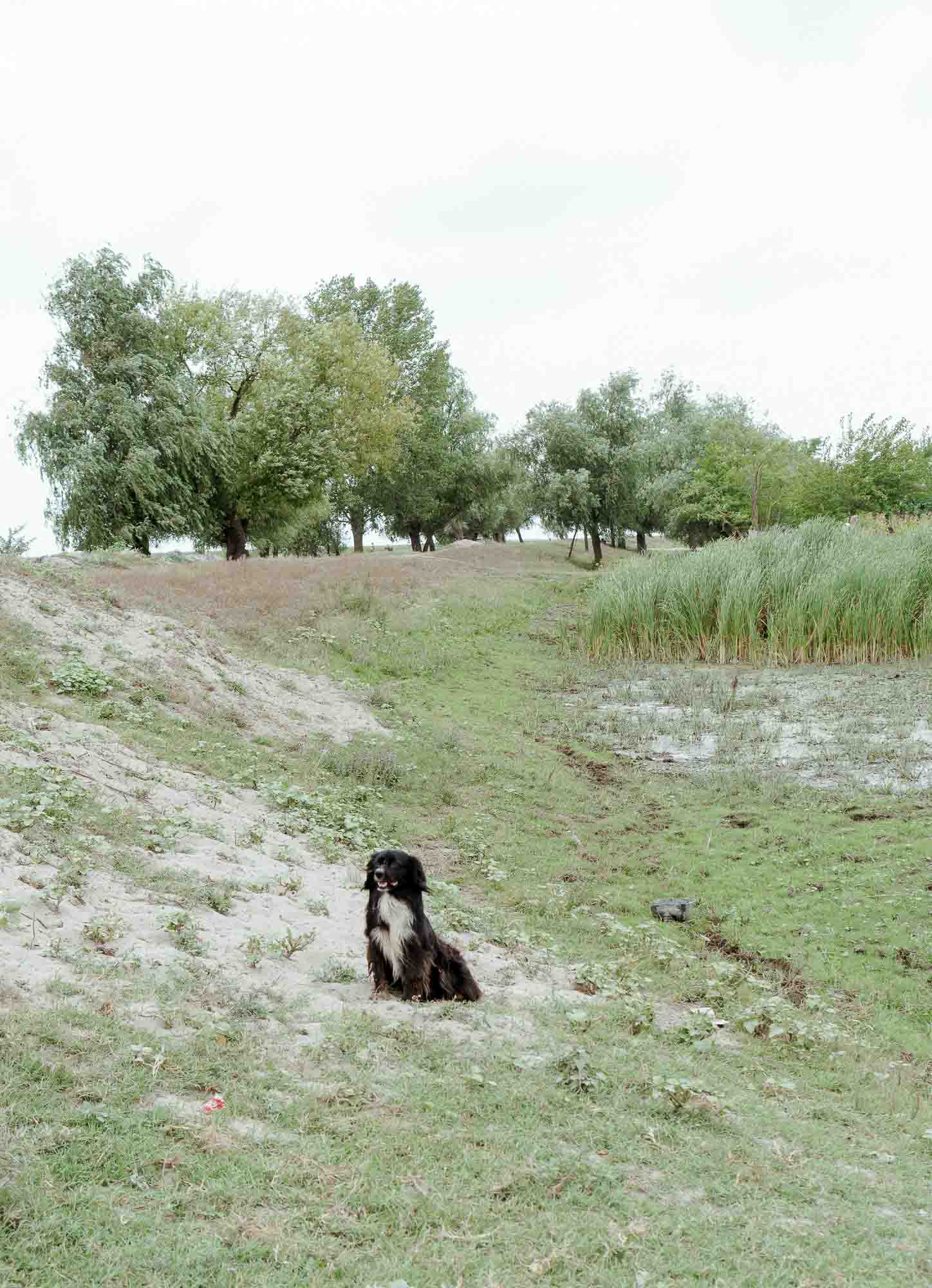 Danube Delta Aesthetics (40)