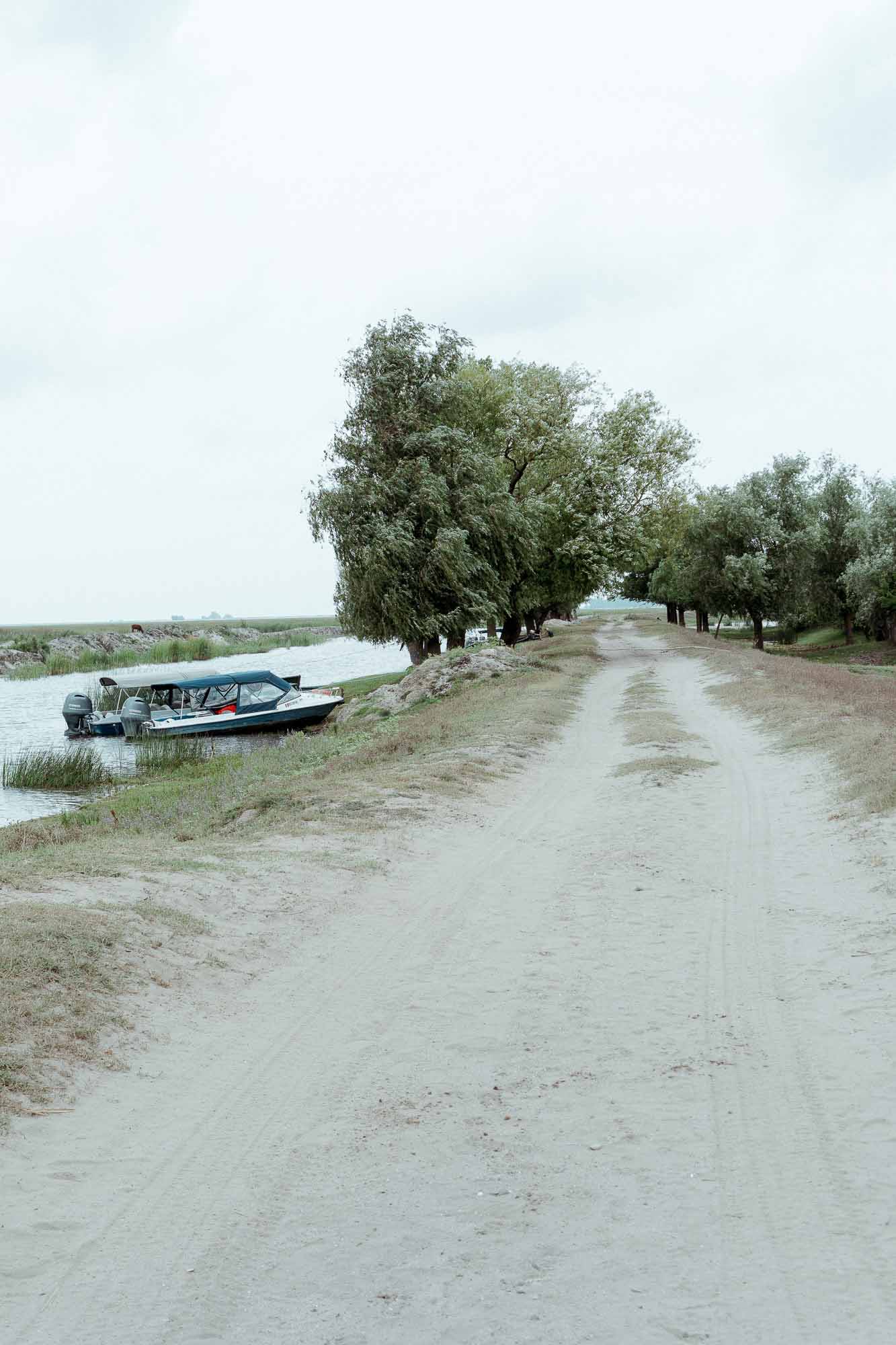Danube Delta Aesthetics (41)