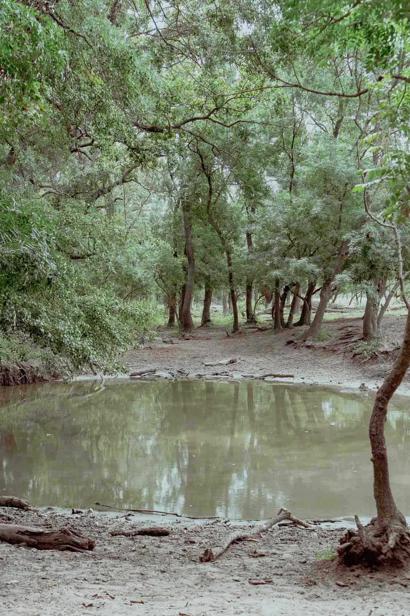 Danube Delta Aesthetics (47)