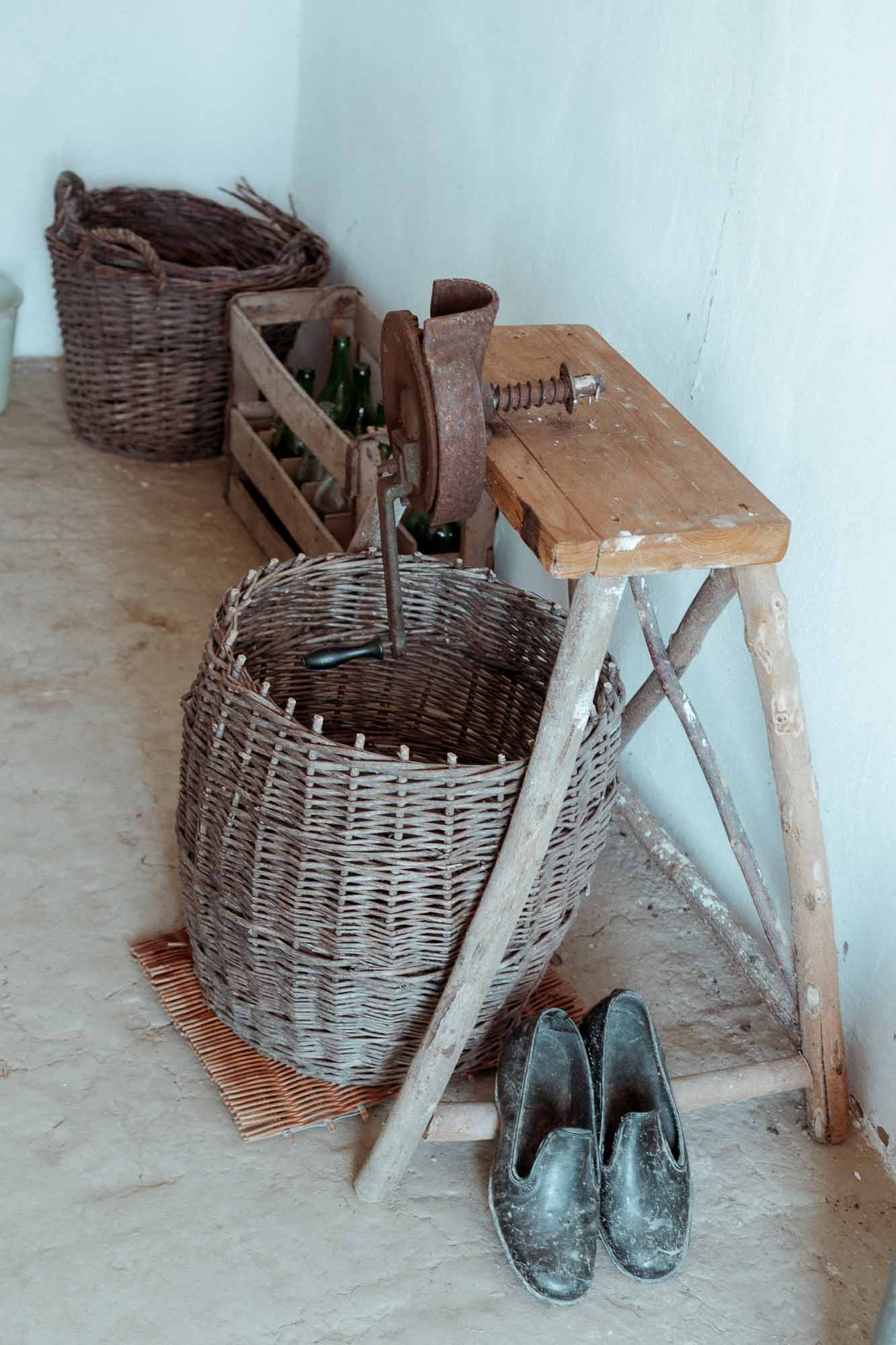 Danube Delta Aesthetics (7)