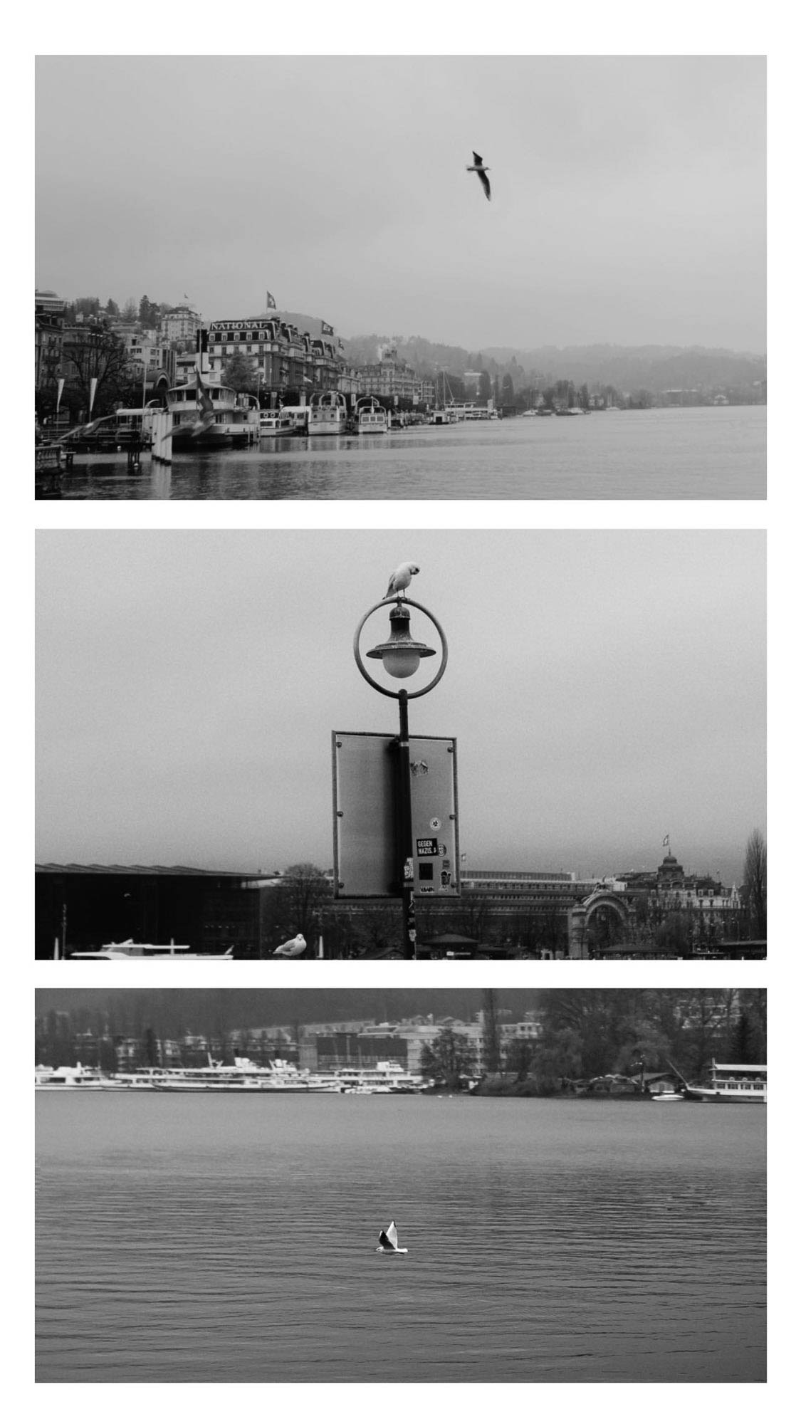 Luzern (1)