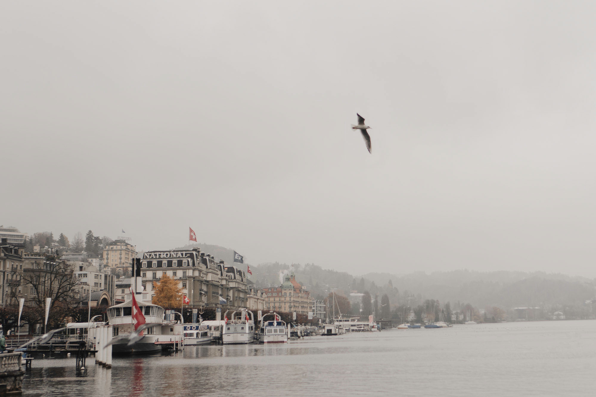 Luzern (5)