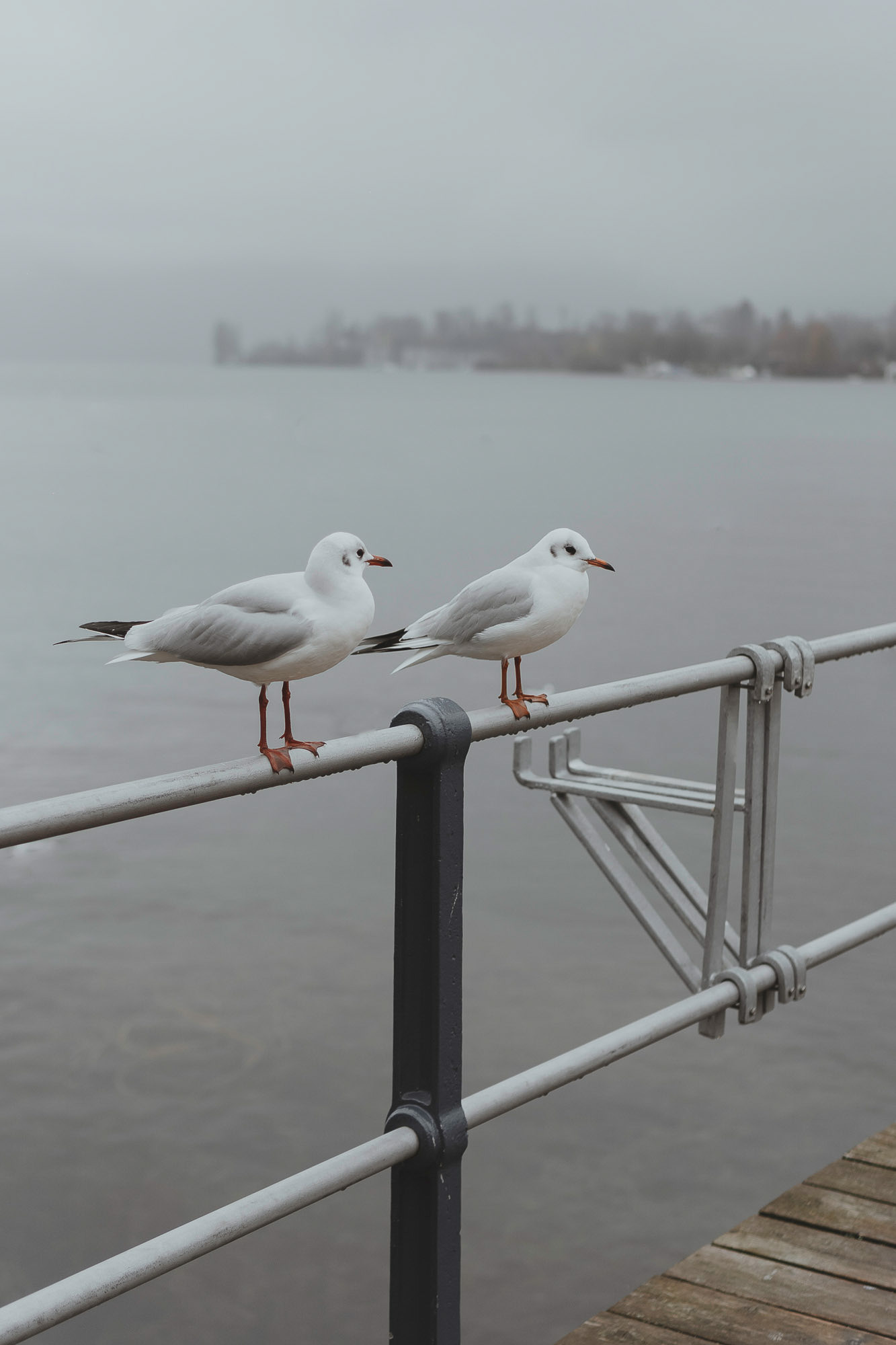 Luzern (6)