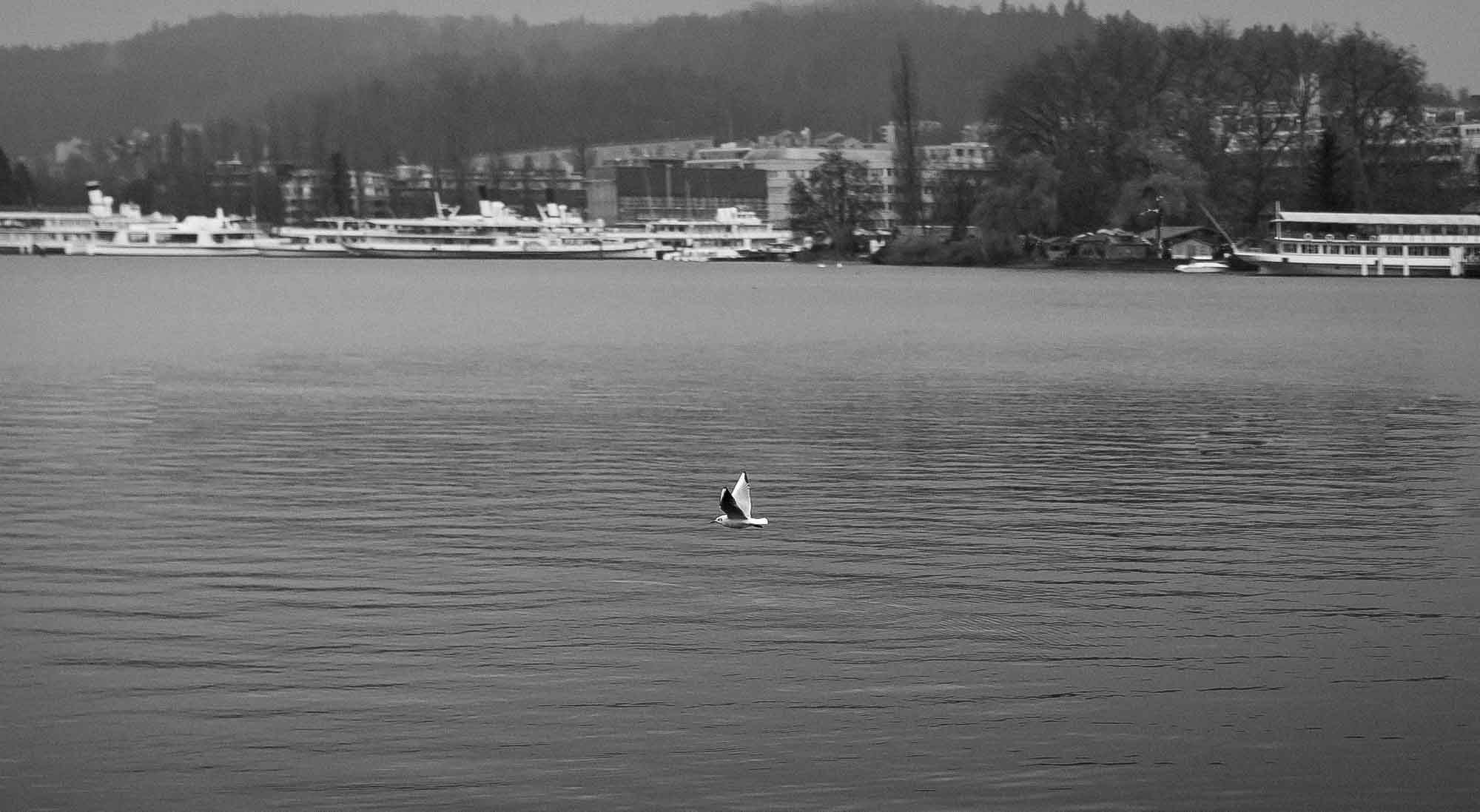 Luzern (7)