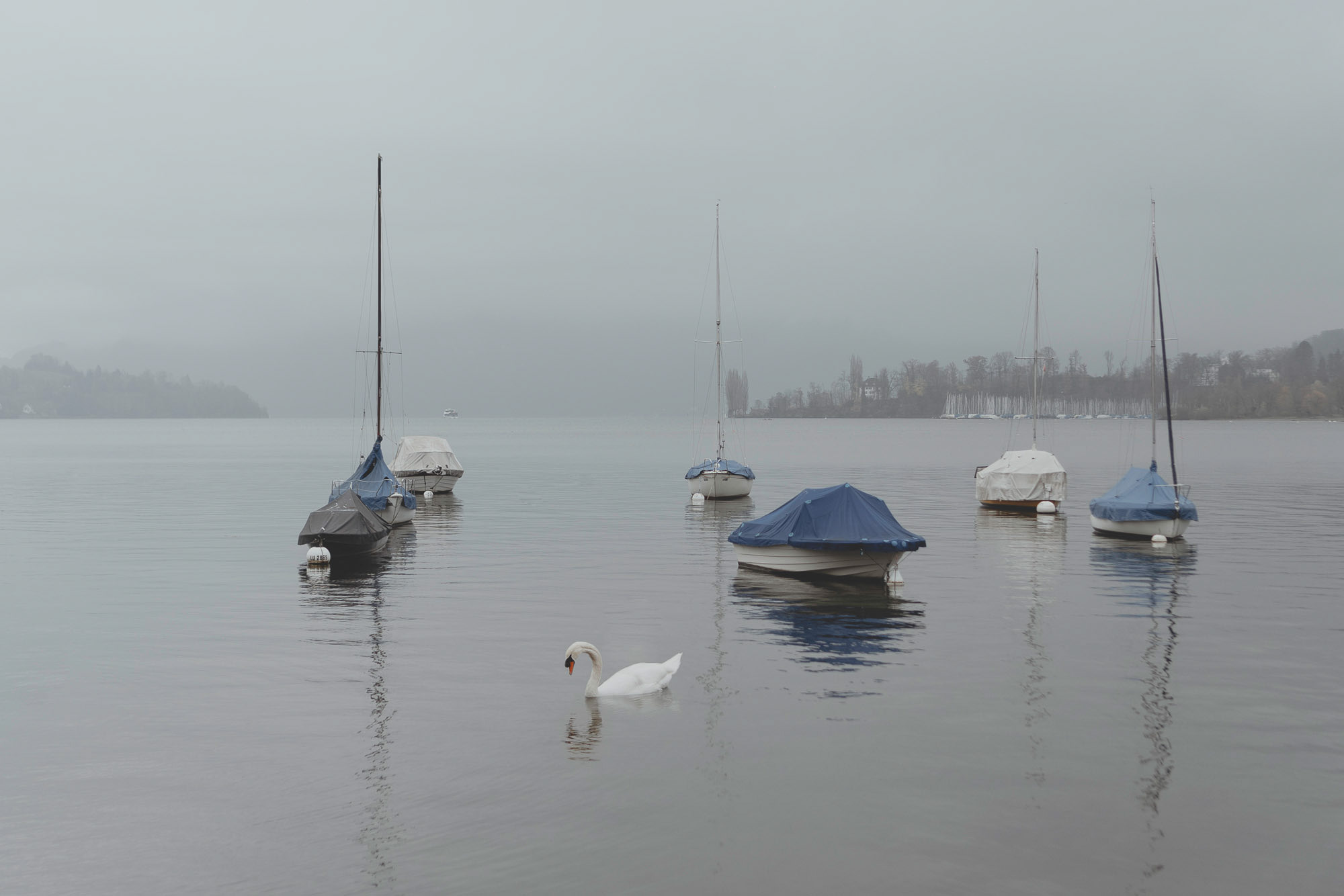Luzern (3)