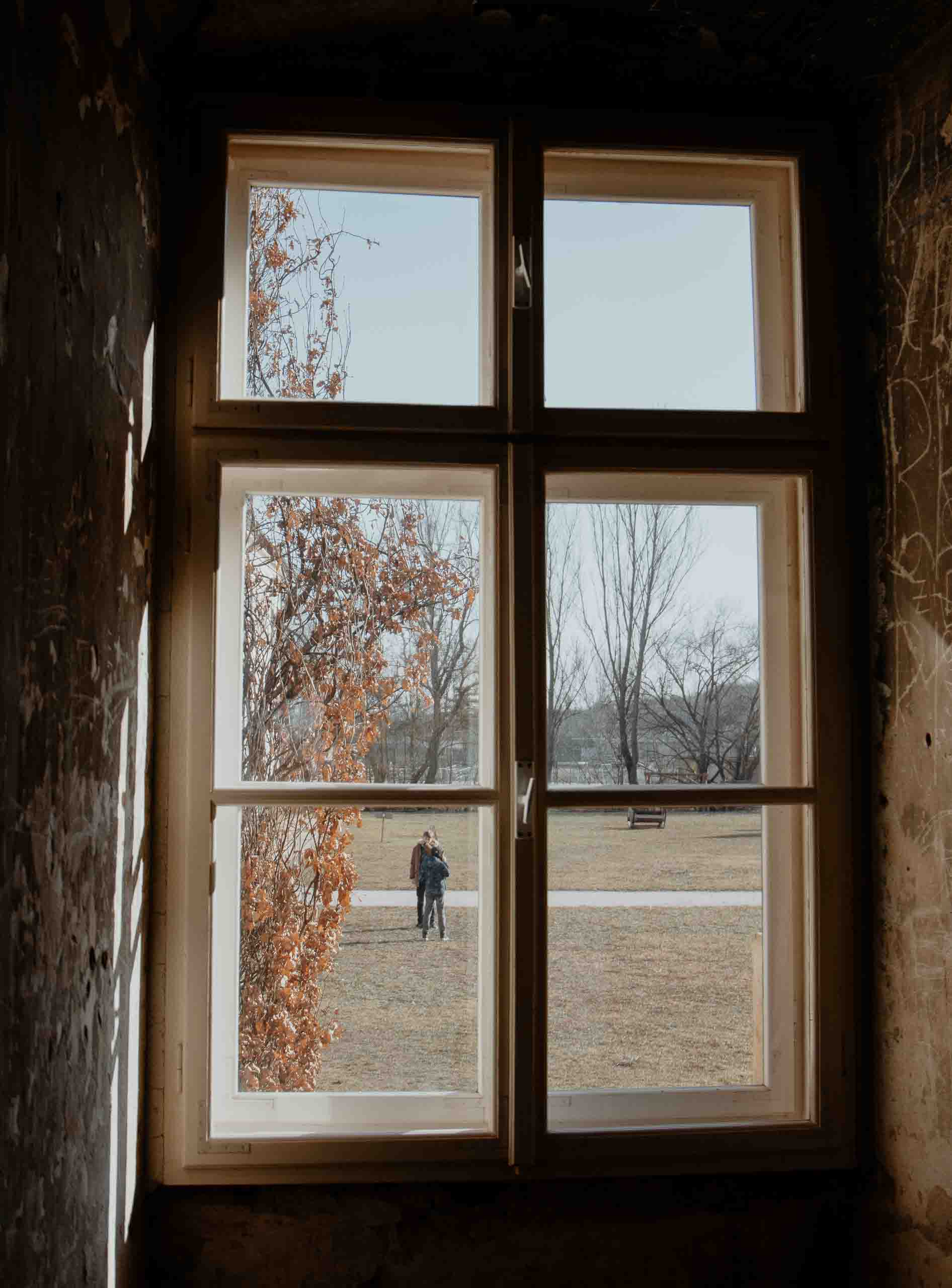 Window Light (12)