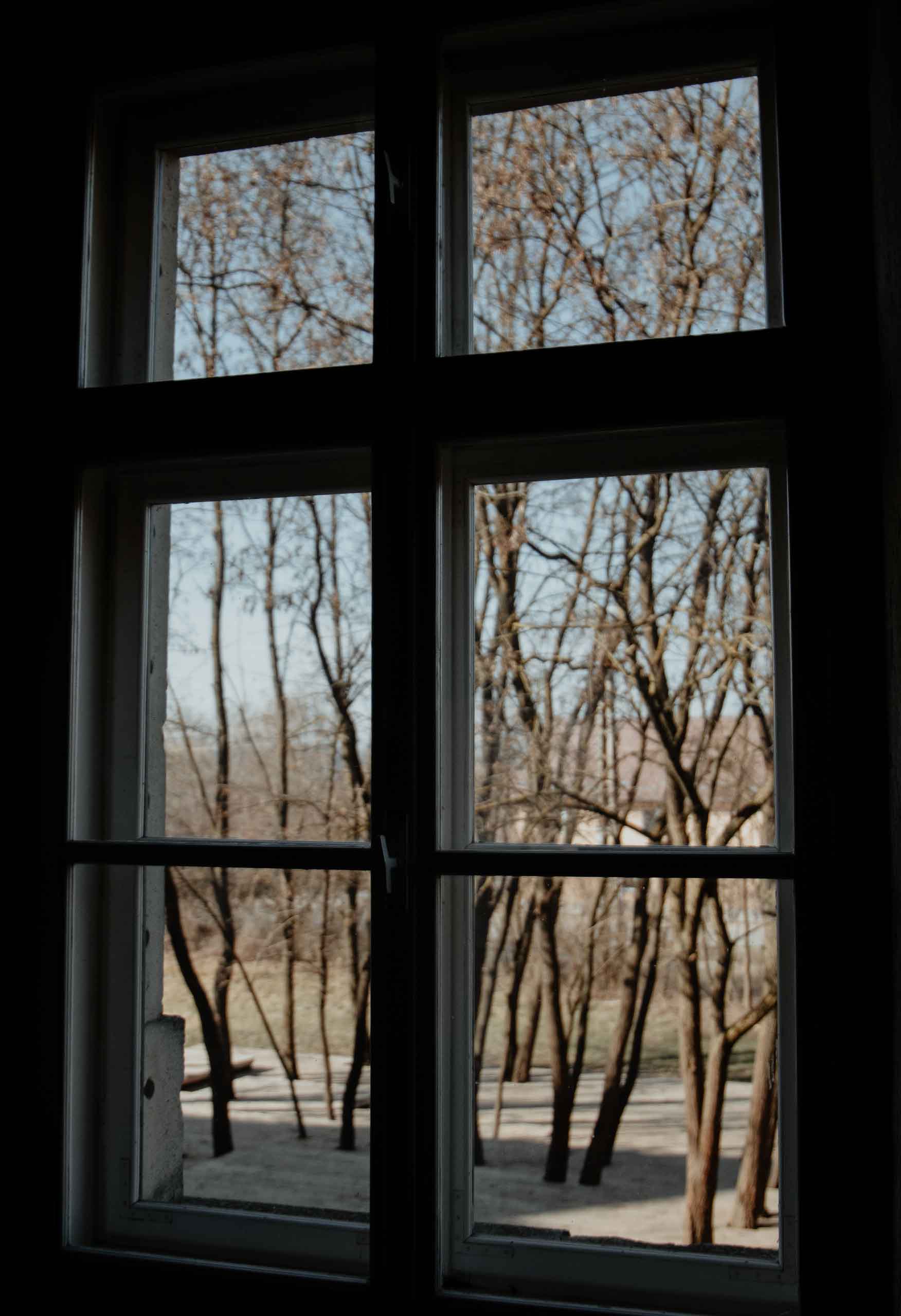 Window Light (13)